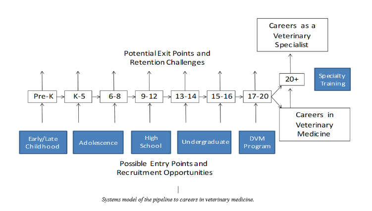 Veterinary Medical Applicant Pool