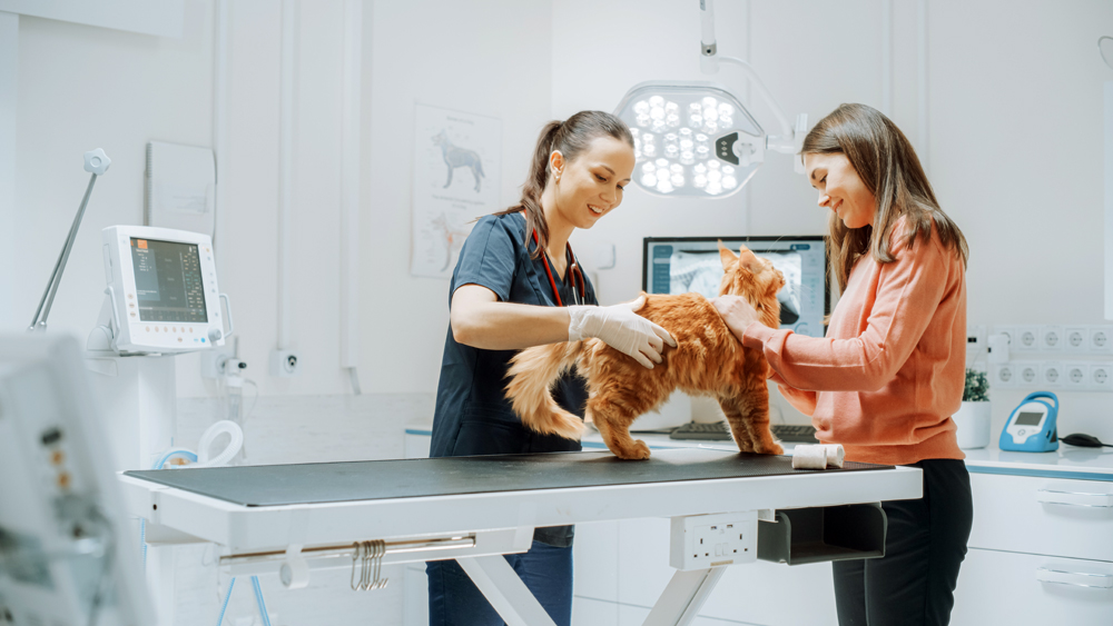 What Will the Future Bring to Veterinary Medicine?