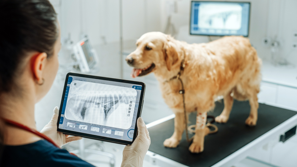 Animal Health News: Veterinary Medicine Technology News
