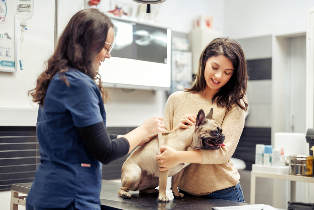 Does Veterinary Medicine Really Need to ‘Bash’ Corporate-Owned Practices?