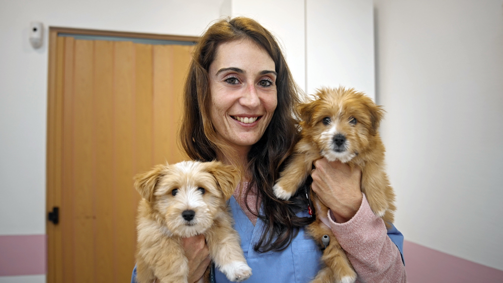 Good News: Recent Updates on Veterinary Technicians