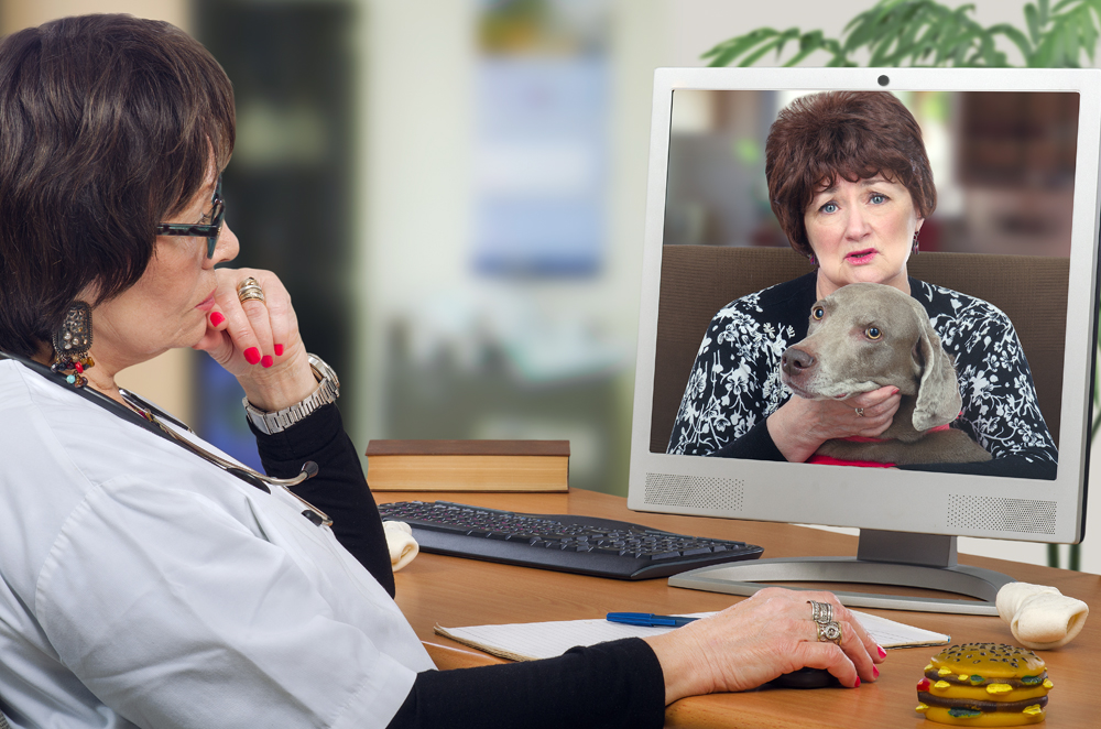 My Journey in Veterinary Virtual Care and What the Future Will Bring