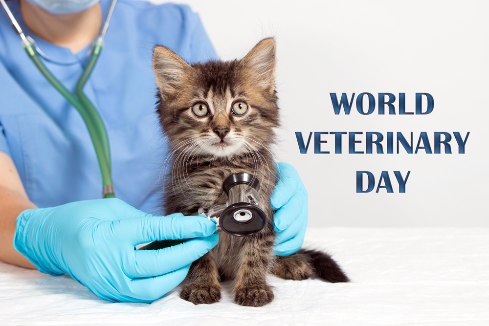 World Veterinary Day Celebrates Veterinarians as Essential Health Workers