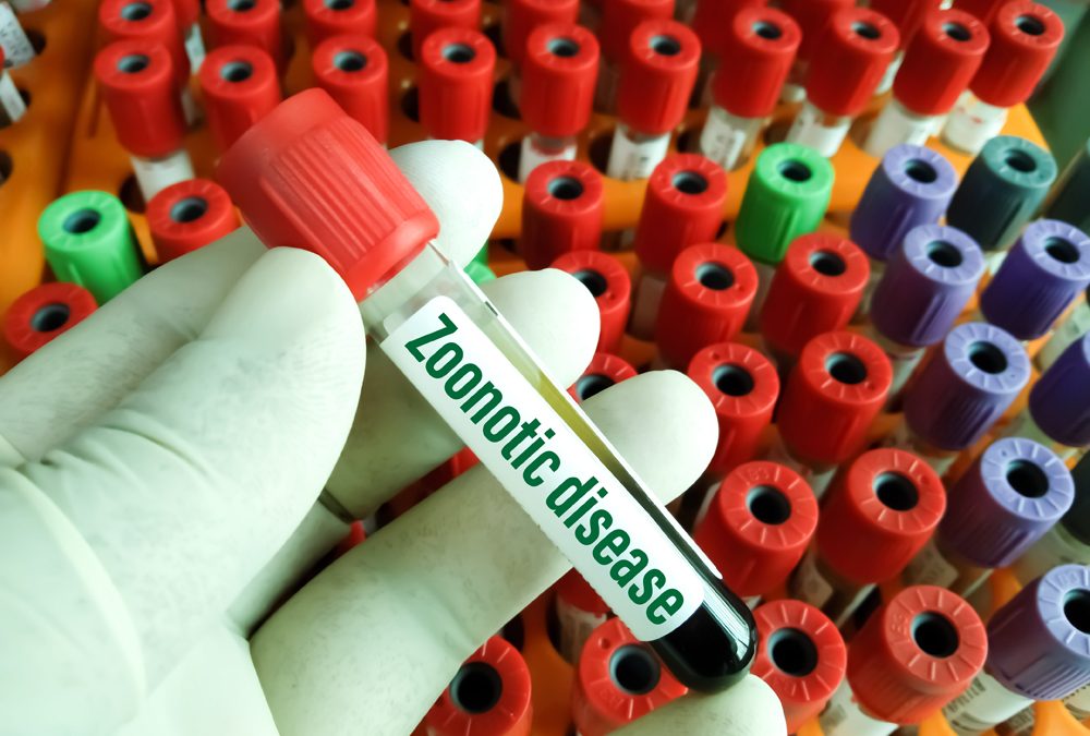 Animal Health News: Emerging Zoonotic Disease News