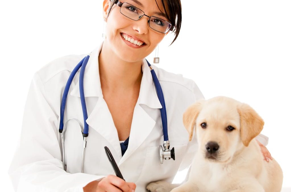 Animal Health News And Views Shutterstock 113282674