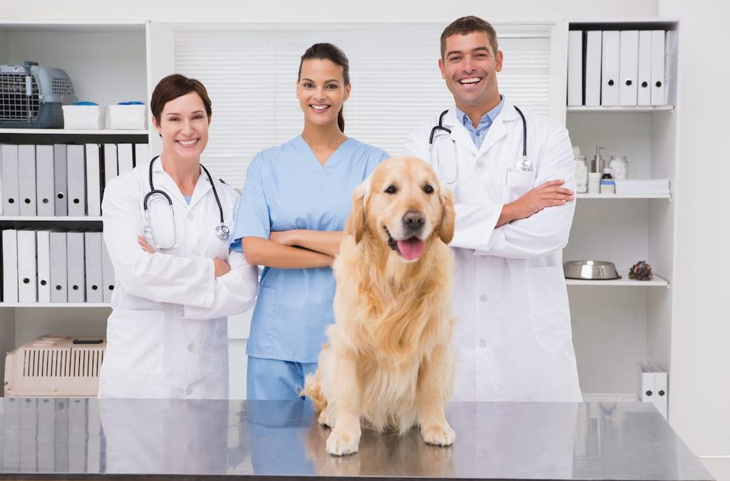 Animal Health News And Views Shutterstock 256174411