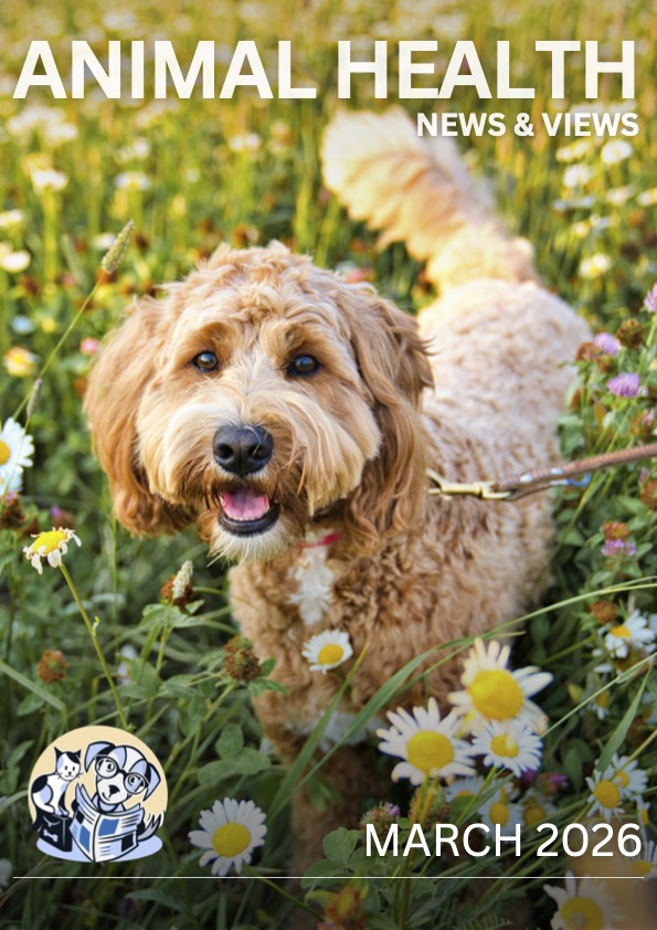 March 2026 Publication