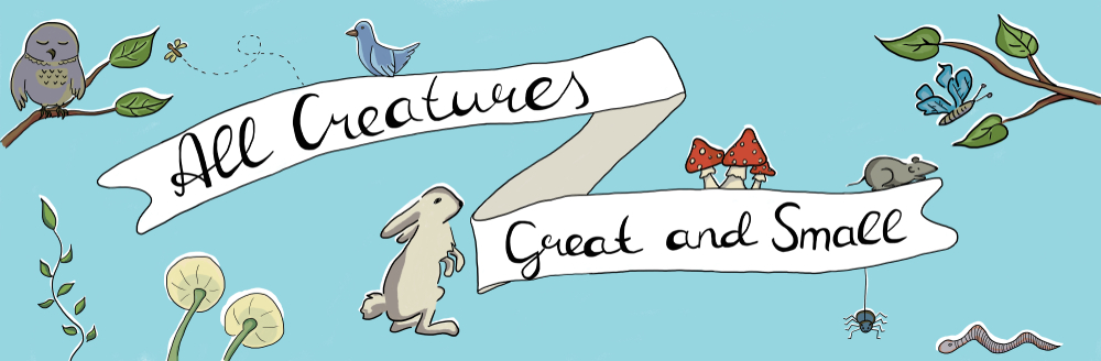 Meet the Real Vet Behind ‘All Creatures Great and Small’—the Heartwarming True Story