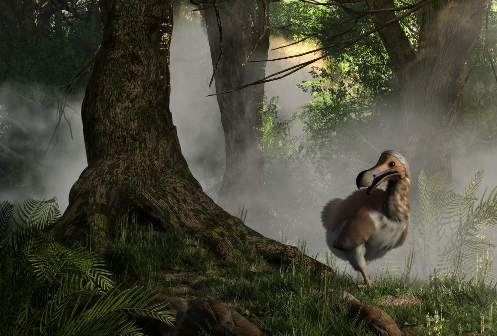 Scientists Claim They’ve Made ‘Pivotal Step’ in Bringing Back the Dodo For First Time in 300 Years