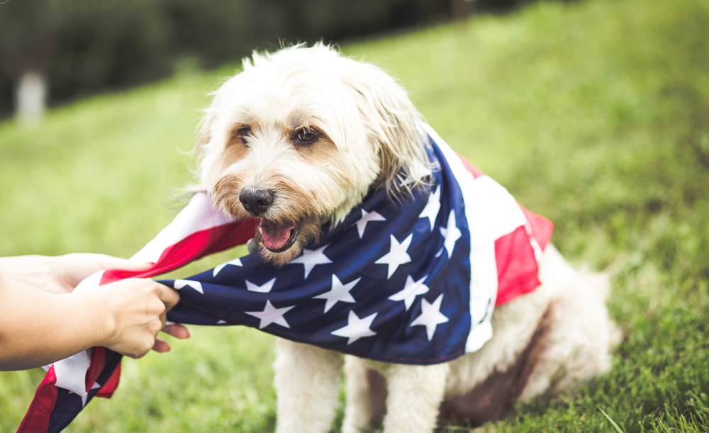July 4 Safety