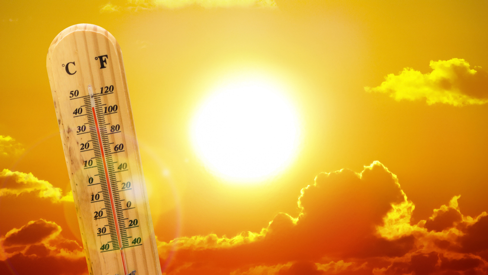 Dog Dies of Heat Stroke After Riding With Owners in Air-Conditioned SUV