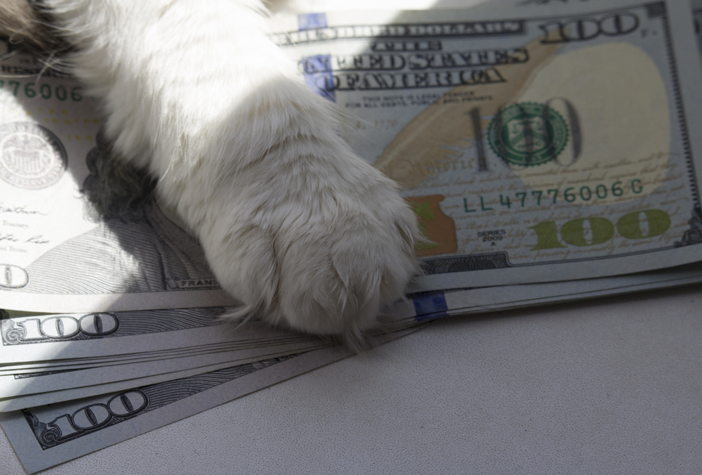 The Future of Pet Ownership: How Rising Costs Are Shaping Budgets