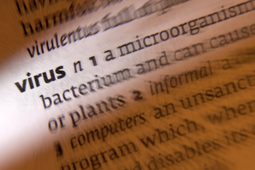 Shutterstock 152763215