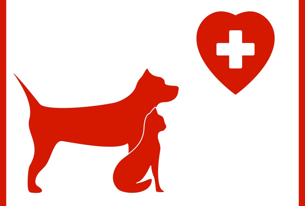 The Threats to the Already Critical Levels of Veterinary Blood Supplies