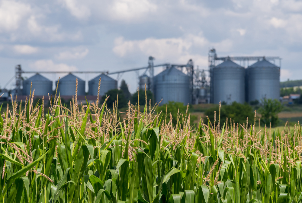 Center for American Food Power Formed to Galvanize Agrifood System