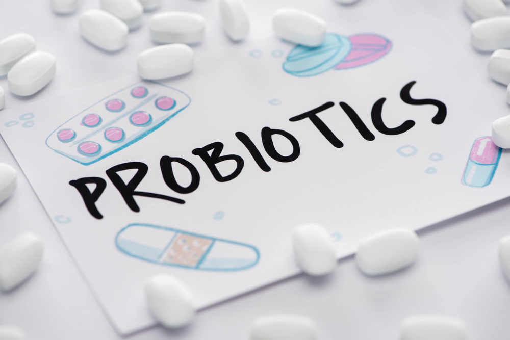 Postbiotics May Calm Dogs Via the Gut-Brain Axis