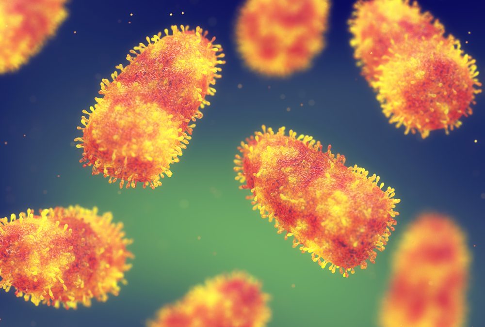 The US is Tracking 14 Potential Rabies Outbreaks in 20 States. Here’s What to Know