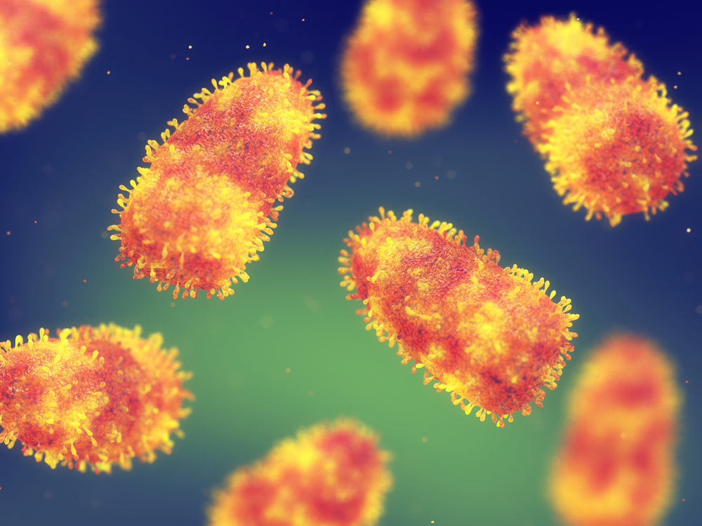The US is Tracking 14 Potential Rabies Outbreaks in 20 States. Here’s ...