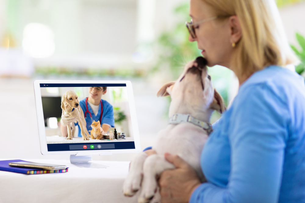 Online,Consultation,With,Veterinarian.,Vet,Examining,Animal,Via,Video,Chat.