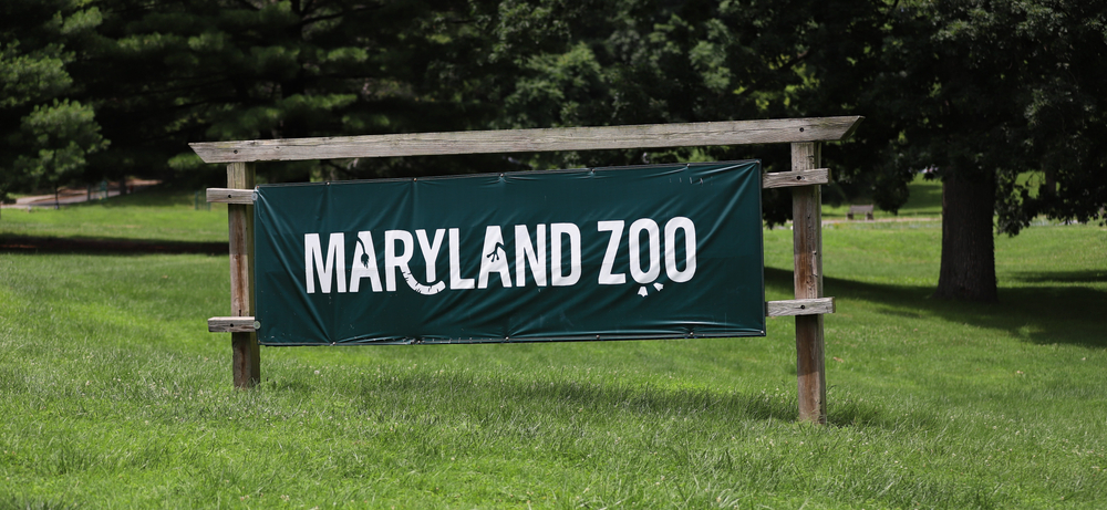 Baltimore,,Maryland/usa ,June,28,,2020:,Sign,Of,The,Maryland,Zoo,