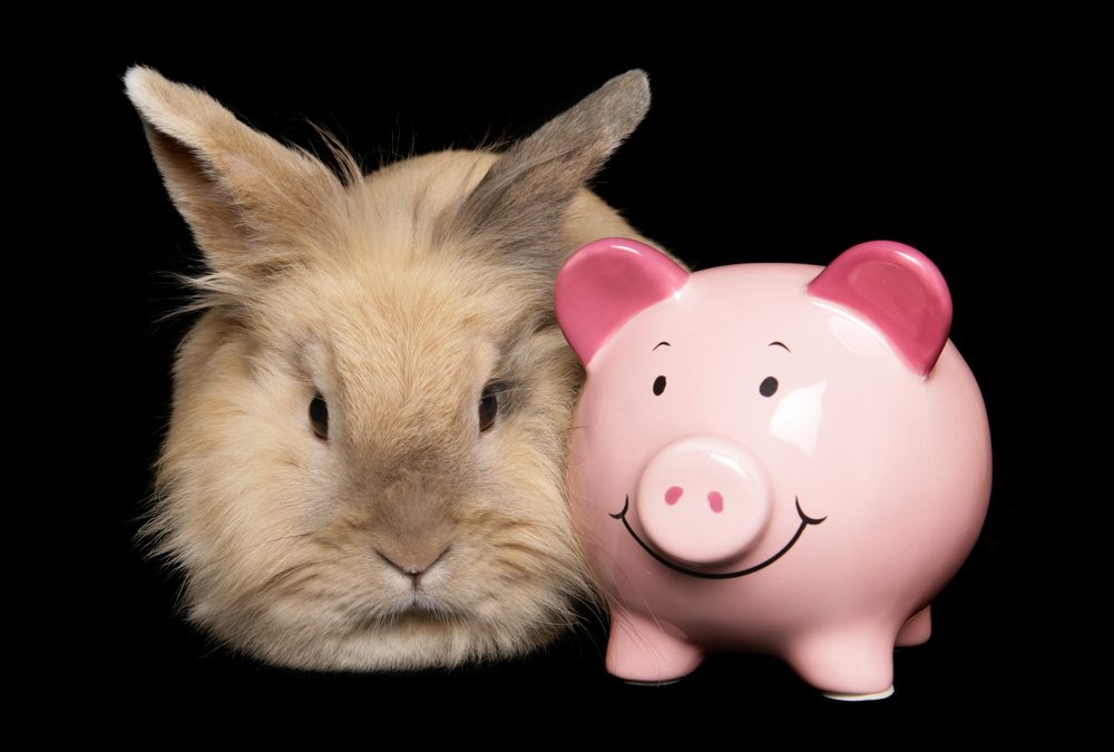Petflation 2026 – April Update: Pet Prices Still at or Near Record Highs