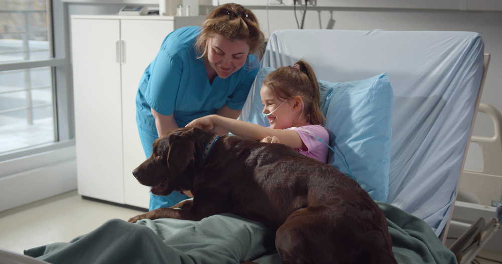 Therapy Dogs Brighten Days at Haymarket Hospital