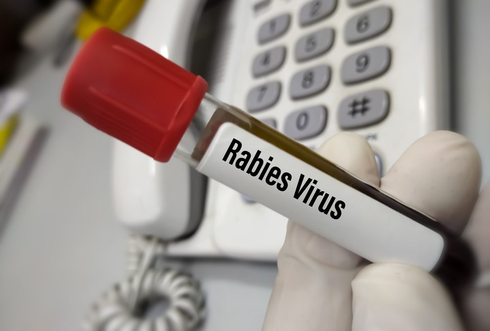 Data from State Dept. of Health and OSU Shows Uptick in Rabies Cases in Oklahoma