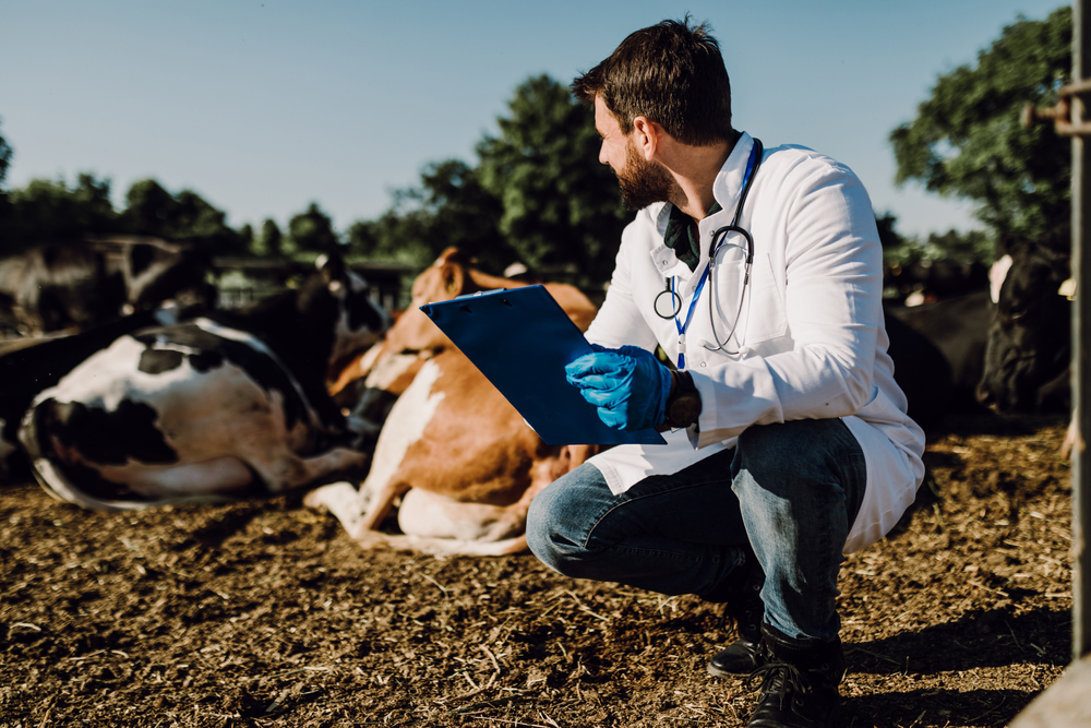 Veterinary Colleges Build Educational Pipelines to Food Animal, Rural Medicine