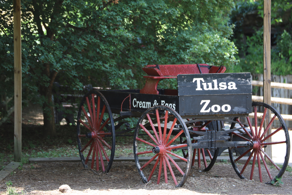 $15 Million Gap Threatens Completion of Africa Wilds Project at Tulsa Zoo