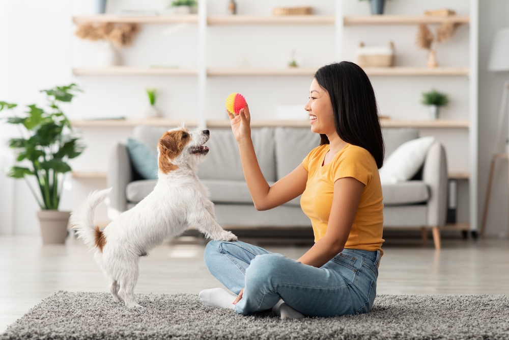Female,Owner,Playing,With,Joyful,Dog,At,Home,,Happy,Young