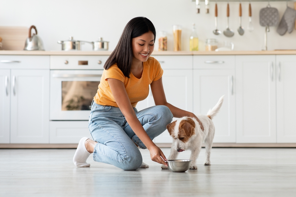 Research Explores Nutrition Paradox Between Pet Parent Intentions, Realities