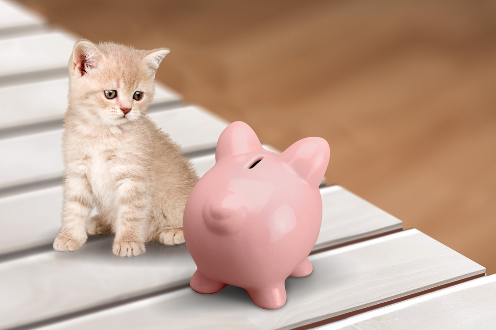 Alphaeon Brings Innovative Financing Solutions to Veterinary and Audiology Practices