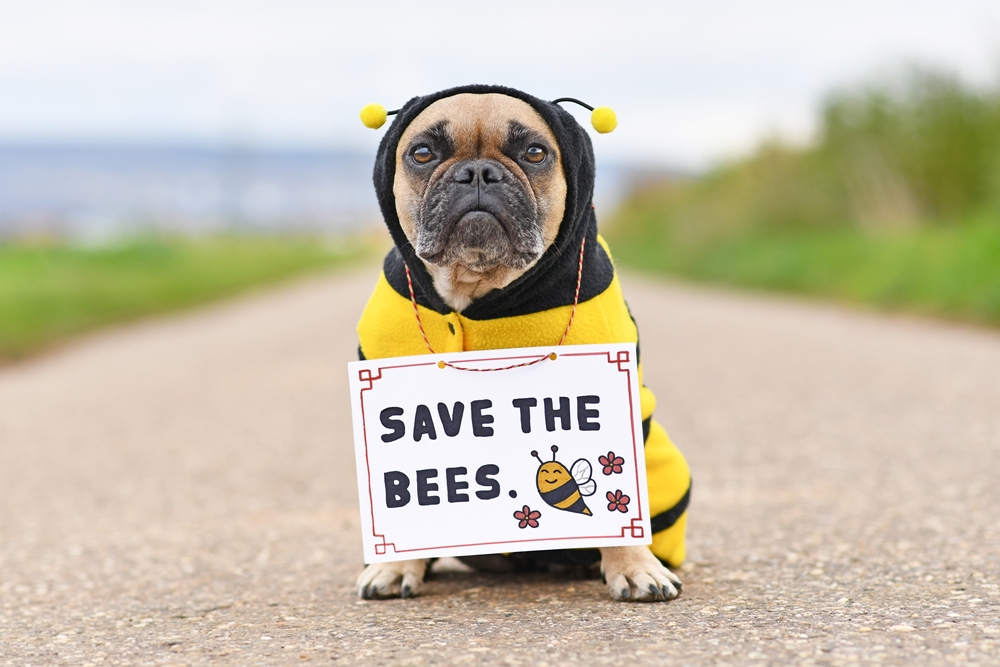 Michigan State University Trains Dogs to Protect Honey Bees