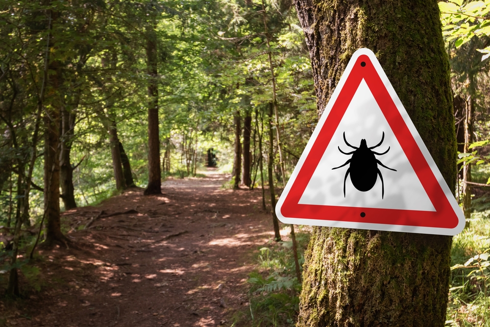 Infected,Ticks,Warning,Sign,In,A,Forest.,Risk,Of,Tick Borne