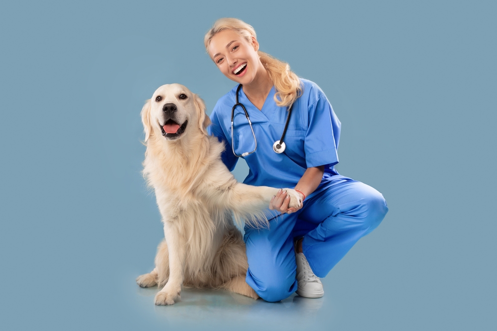 Business Briefs: Are Practice Owners More Satisfied Than Associates?