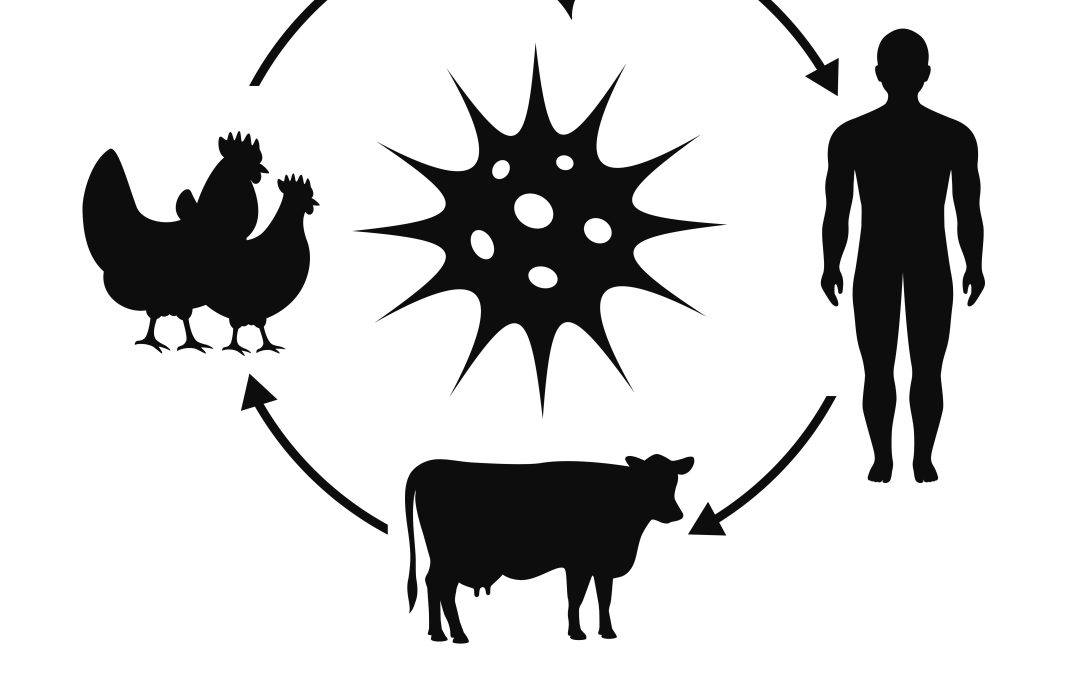 Recent Pandemic Viruses Jumped to Humans Without Prior Adaptation, UC San Diego Study Finds