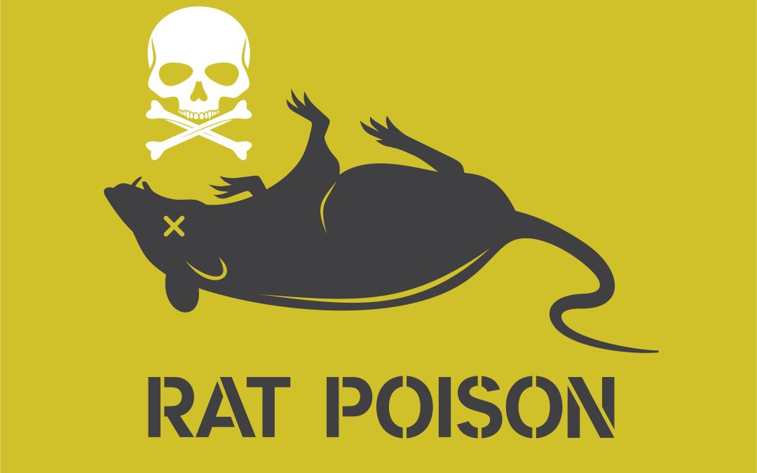 Bayshore Veterinary Hospital Warns Against Using Rat Poison with a Dog in the House