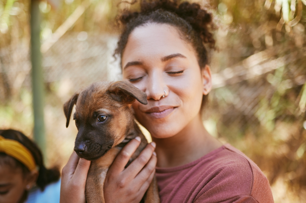 Love,,Dog,And,Animal,Shelter,With,A,Black,Woman,Hugging