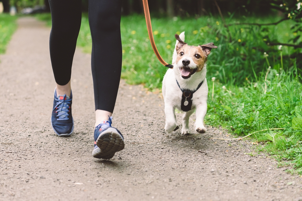 Woman,Running,With,Dog,To,Workout,During,Morning,Walk