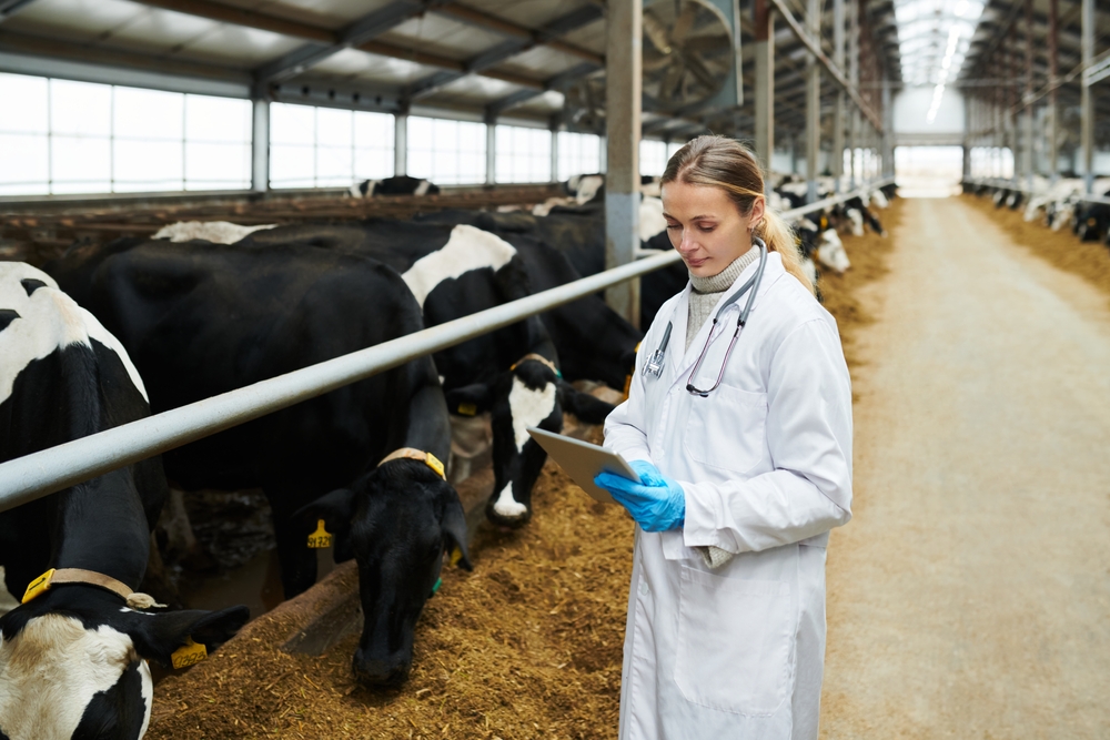 Reducing Livestock Veterinarian Shortage Will Take Many Tools