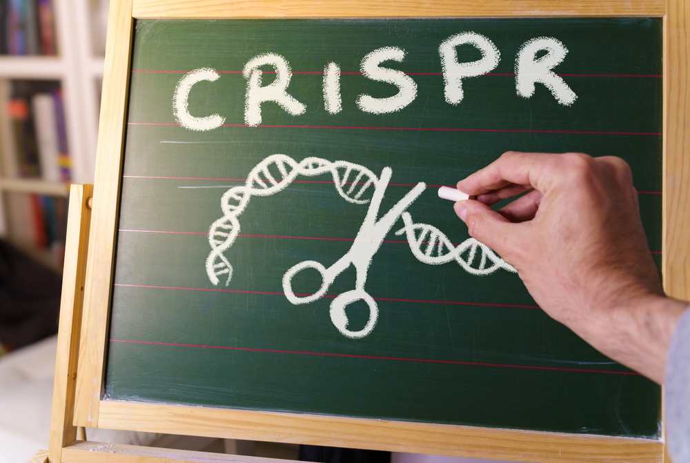 Scientists Use Gene Editing to Create Hypoallergenic Dogs