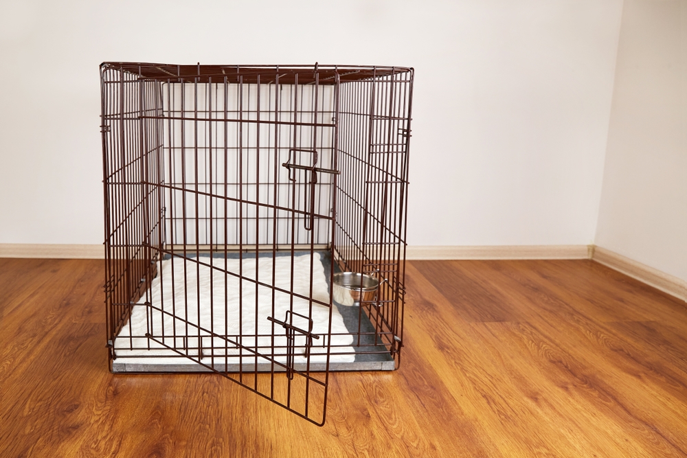 An,Empty,Pet,Cage,In,The,Apartment.,A,Wire,Box