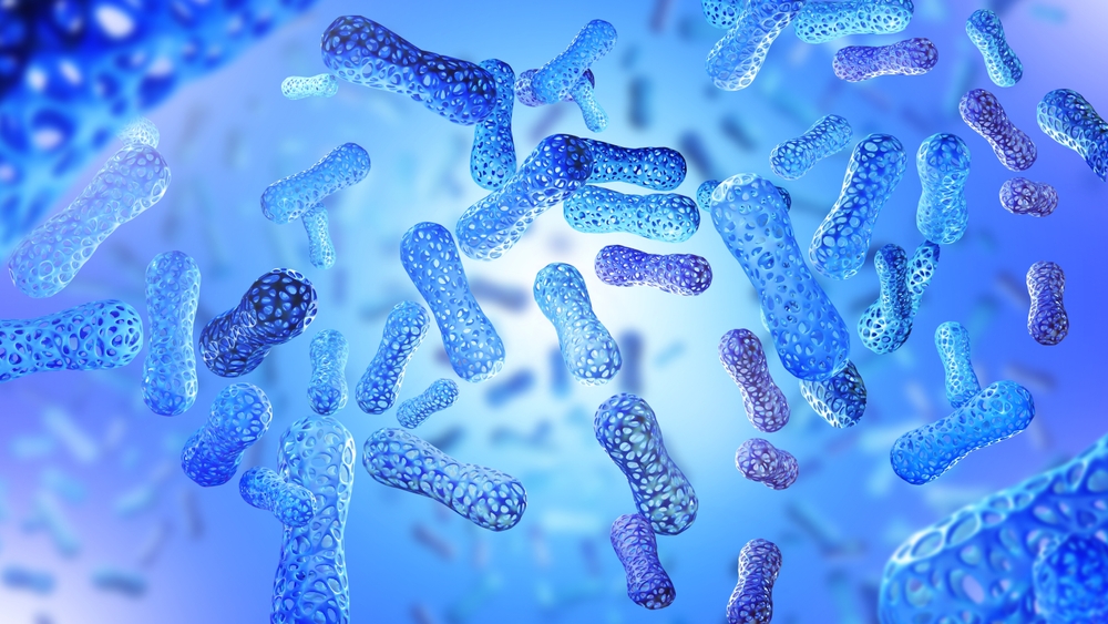 Hill’s and Harvard Launch Web Portal to Accelerate Pet Microbiome Research