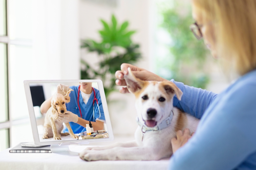 Understanding Veterinary Telemedicine and Teletriage