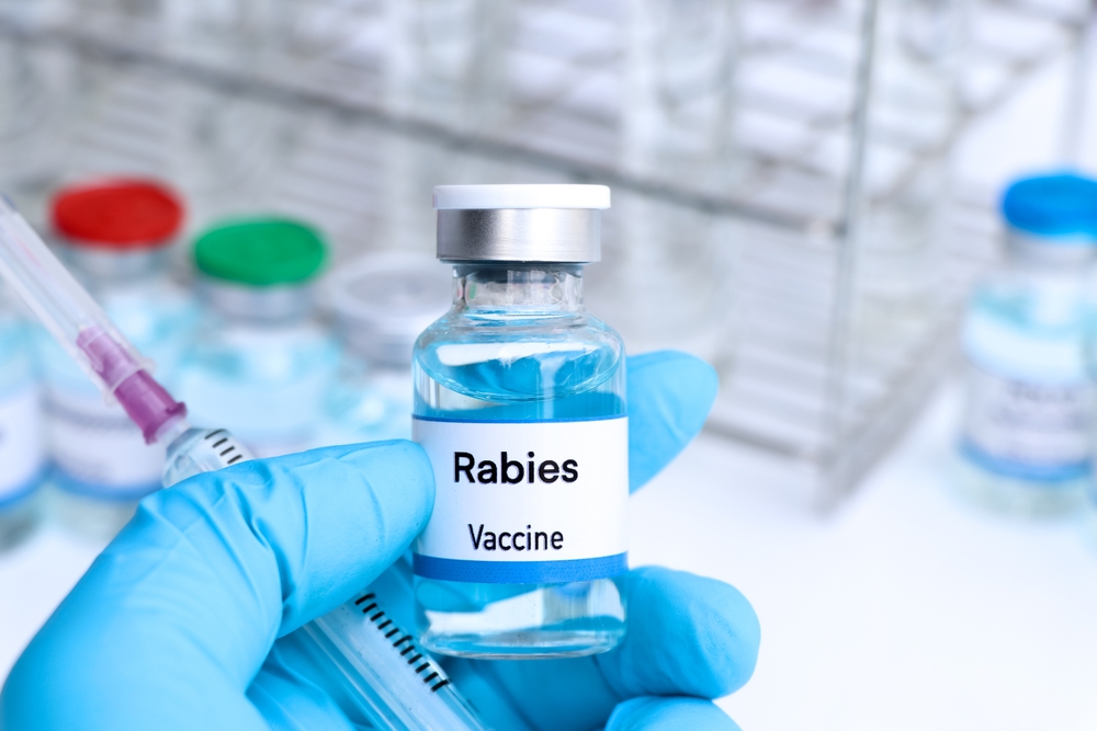 Outbreaks of Rabies Seem to Be Rising Across the U.S., CDC Surveillance Shows