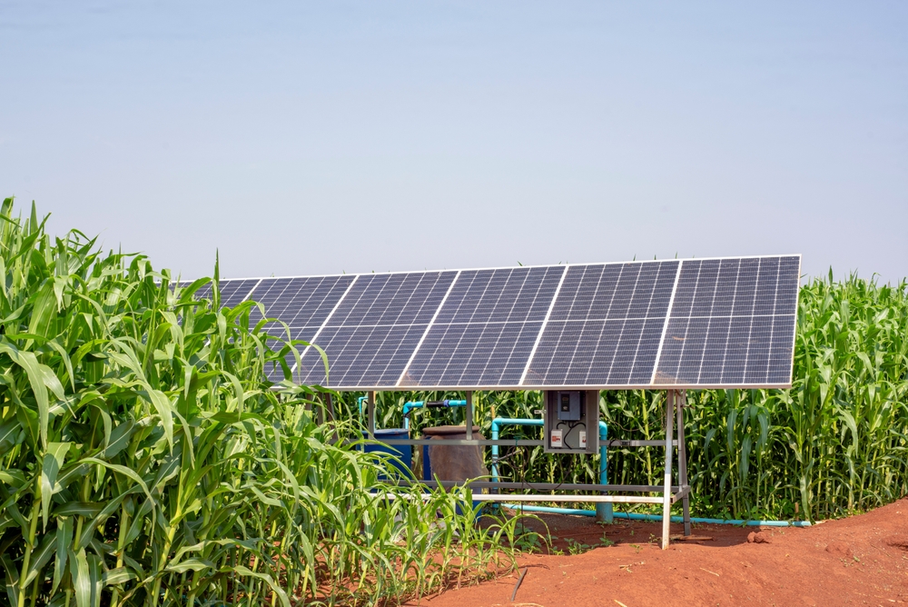 New Nonprofit Formed to Guide Farmers Through Renewable Energy Projects