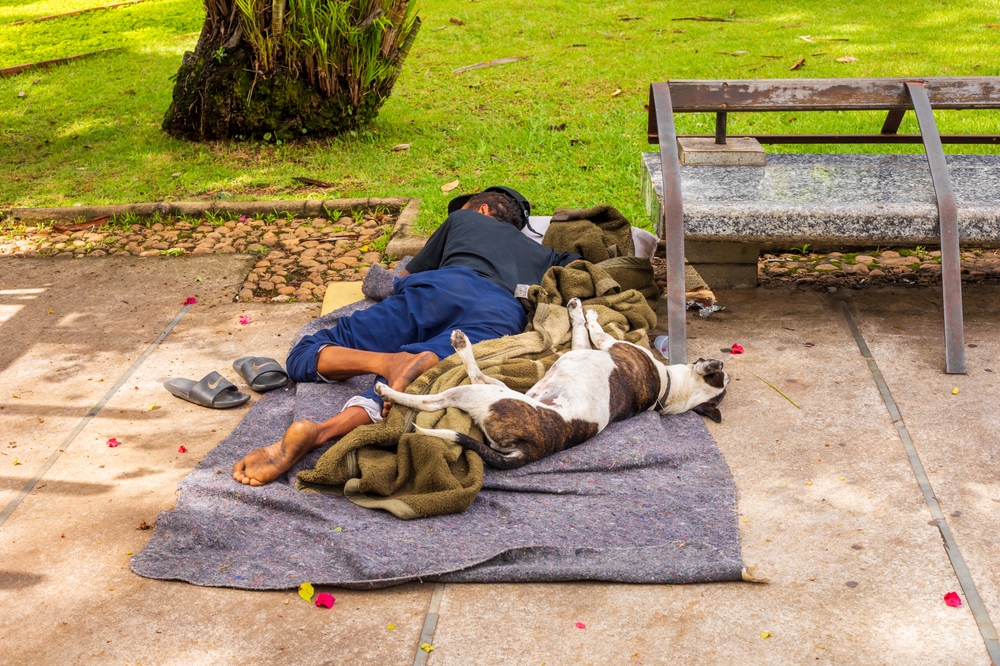 A Pet‑Friendly Homeless Shelter Pilot Reduced the Rate of Homelessness