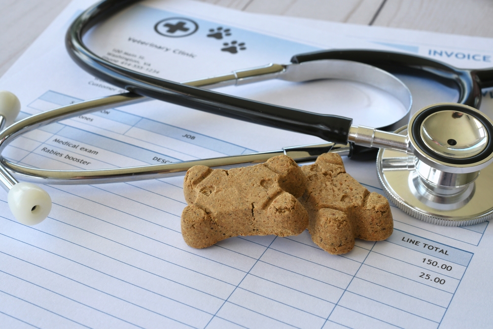 AVMA shares insights into rising veterinary costs
