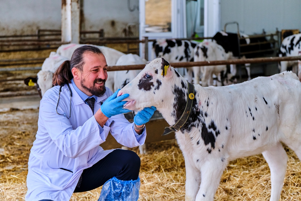 Large Animal Care Access Gap in US Persists