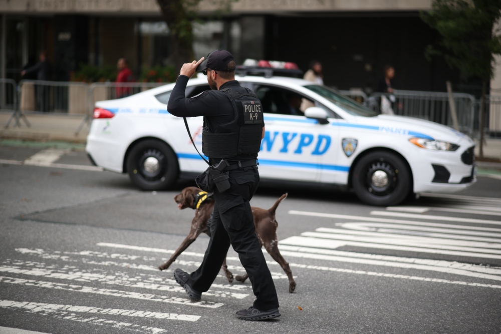 Remembering the Hero Search-and-Rescue Dogs of 9/11, 25 Years Later